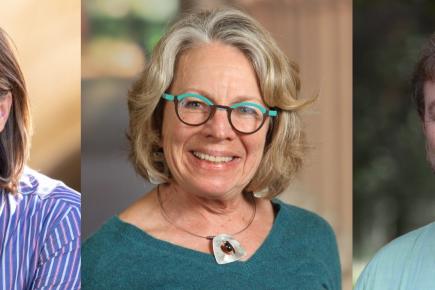 Jo Boaler, Hilda Borko, Woody Powell