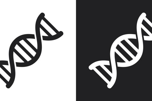 illustrations of DNA helixes